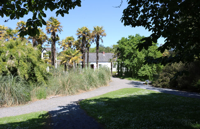 Paths at Logan Botanic Garden