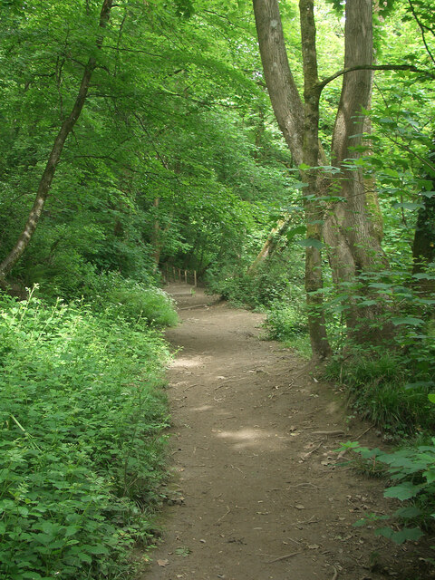 Riverside path at Craig-y-Parcau Local Nature Reserve, Bridgend
