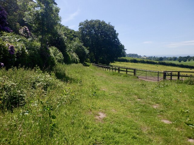 Path, Harthill © Richard Webb cc-by-sa/2.0 :: Geograph Britain and Ireland