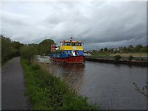 SX9489 : Cruise boat on Exeter Canal by David Smith