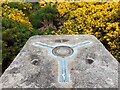 Cap, Ploverfield Trig Point