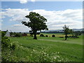 Fields near Errol