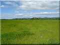 Grassland, Carse of Gowrie