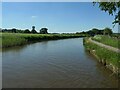 The Bridgewater canal, between Moore and Daresbury