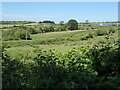 Farmland near Measybont