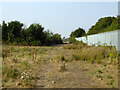 Footpath towards Burnt House Farm