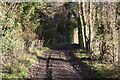TQ6365 : Woodland bridleway by N Chadwick