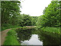 Huddersfield Narrow Canal, Milnsbridge, Huddersfield