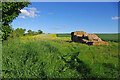 NU1529 : Field near Lucker South Farm by Ian Taylor