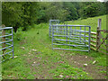 Cattle crush - Woodchester Park