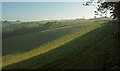 Hillside above Daccombe