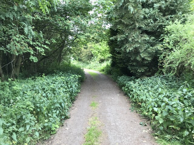 Bridleway, Chopwell