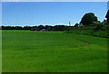 Crop field, Inverkeilor