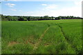 SP3531 : Farmland looking towards Badgers Farm by Philip Jeffrey