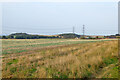 View towards New Barn Farm