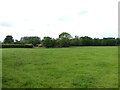 TG2431 : Looking towards Boundary Farm across Meadow by David Pashley