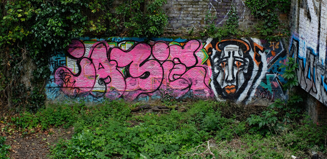 Crouch End : graffiti, Parkland Walk