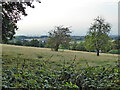 Sloping field above Woodfield