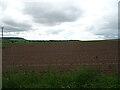 Potato crop near Balmashanner