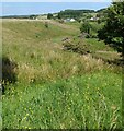 Valley of Culloch Burn