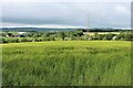 Arable fields at Loudonston