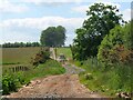 NT6319 : Farm track above Jedburgh by Jim Barton