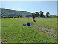 Clydesdale horse in a paddock near Pontesbury