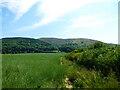 Field edge footpath towards Earls Hill