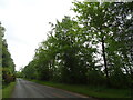 Trees beside the B9113