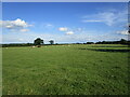 Grass field near Langham Lodge