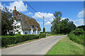 Mossed thatch at Hartest Hill