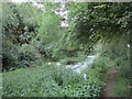 The Oakham Canal near Langham