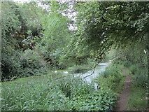 SK8611 : The Oakham Canal near Langham by Jonathan Thacker
