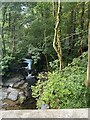 Afon Dulais at Cwmdwr