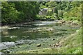 Cresswell Quay: The River Cresswell