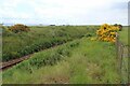 Railway line to Thurso