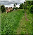 Path behind Murray Crescent