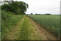 Greensand Ridge Walk heading for Mox Hill