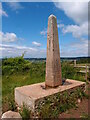 Backwell Jubilee Stone