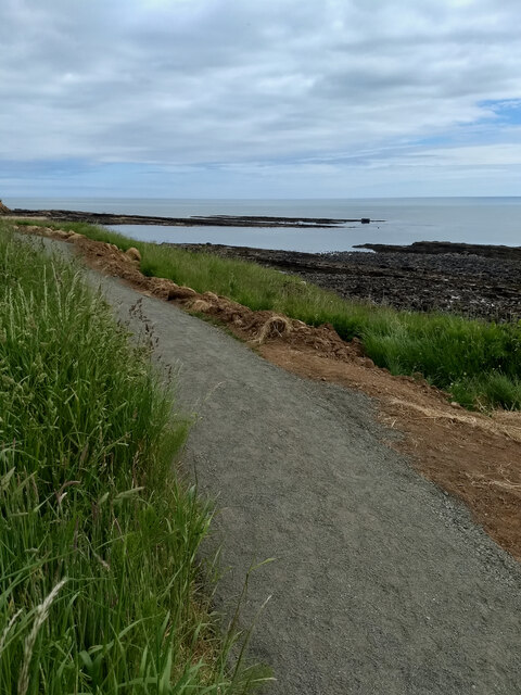 Newly gravelled path, Howick Haven