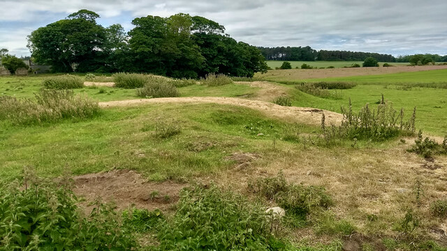 Field near Howick