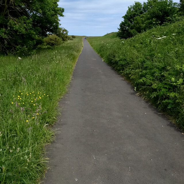 Access road to Newton Point