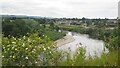 The River Tweed in Coldstream