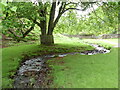 Stream in Hope Valley, Lydney Park Gardens