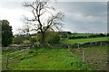 Footpath near Bunting Field Farm