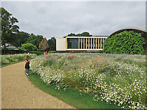 TL4557 : Cambridge Botanic Garden: wildflower meadow by John Sutton