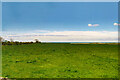 NU2126 : Field near Tughall by David Dixon