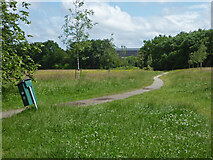 SP1682 : Elmdon Nature Park, Solihull by Chris Allen