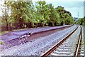 SK6921 : Grimston railway station (site), Leicestershire, 1981 by Nigel Thompson