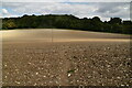 Footpath across field